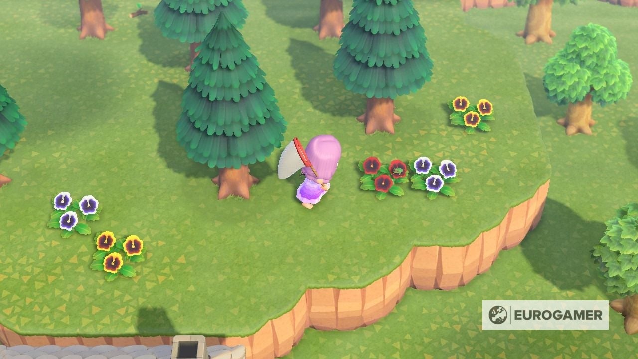 Animal Crossing Bugs list All bug prices, locations, and how to catch